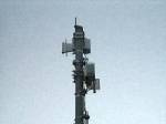 wue_pic03.jpg
