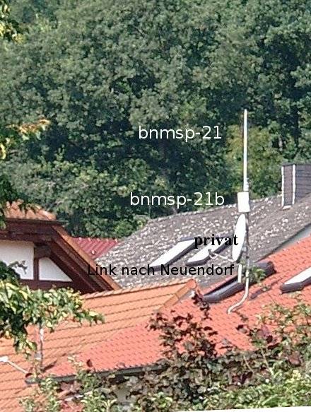 bnmsp-21.jpg