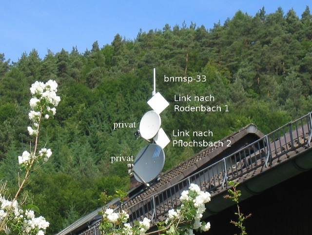 bnmsp-33_1