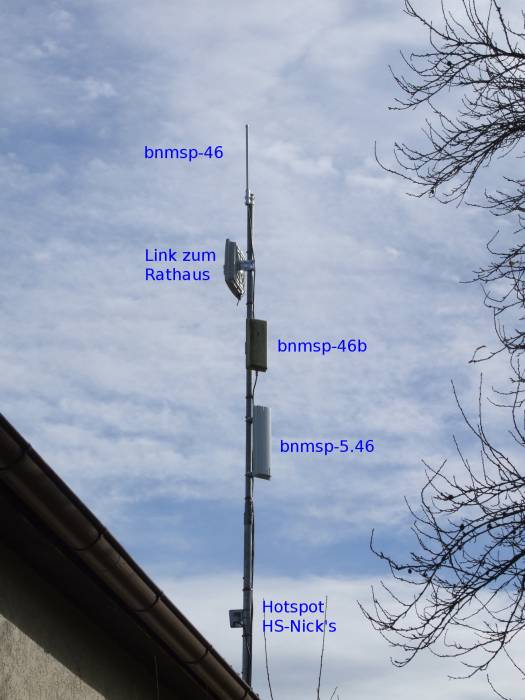 bnmsp-46_4.jpg