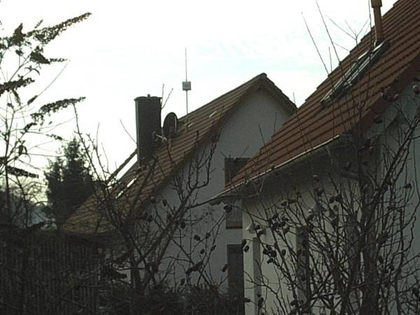 bnmsp44a.jpg