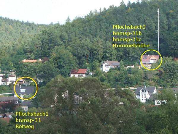 pflochsbach1_und_2.jpg